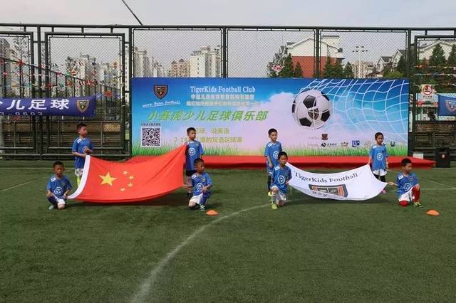 组成超级双 组成超级双