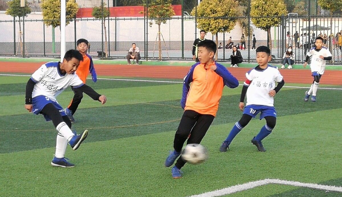 多面手能力 多面手能力